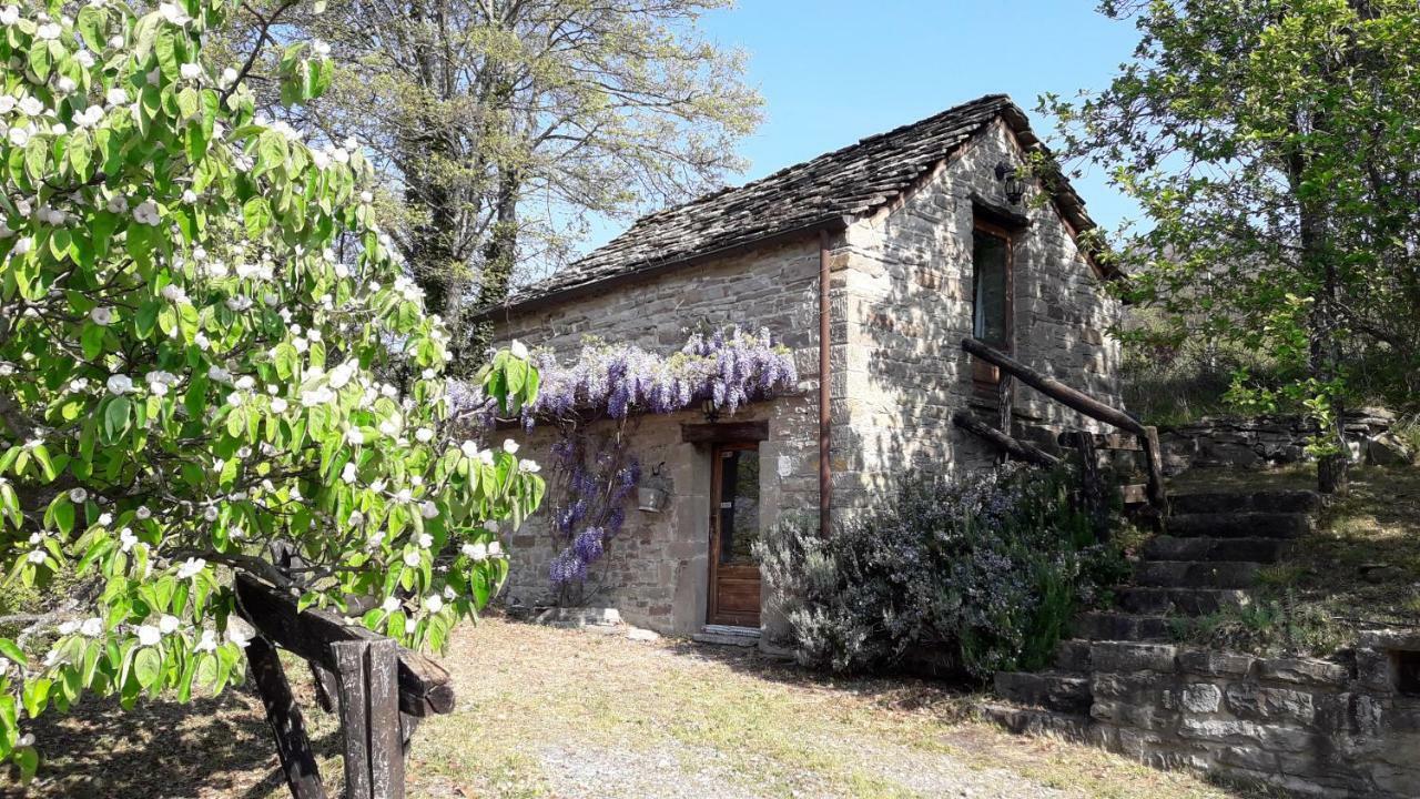 Vila Ca' D'Alfieri Bardi Exteriér fotografie